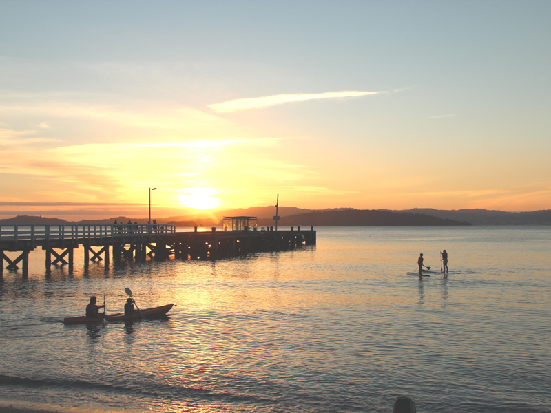Stand Up Paddleboard (SUP) Hire 1 hour @ The Boatshed - Days Bay